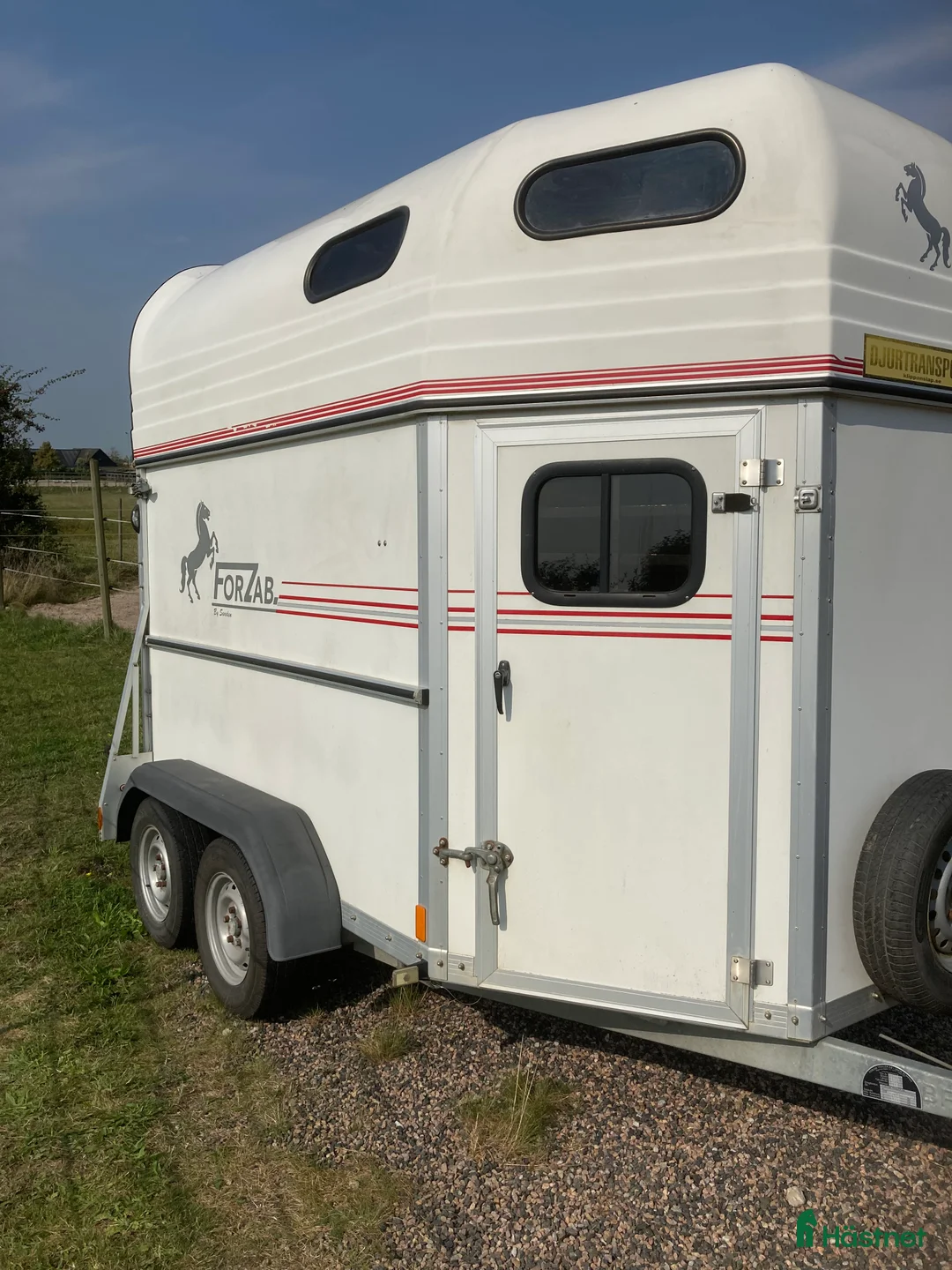 Hästtransporter  fordon & transport till salu: Forzab Cavallo EH 20( extra hög )  i Trelleborg - Annons 13