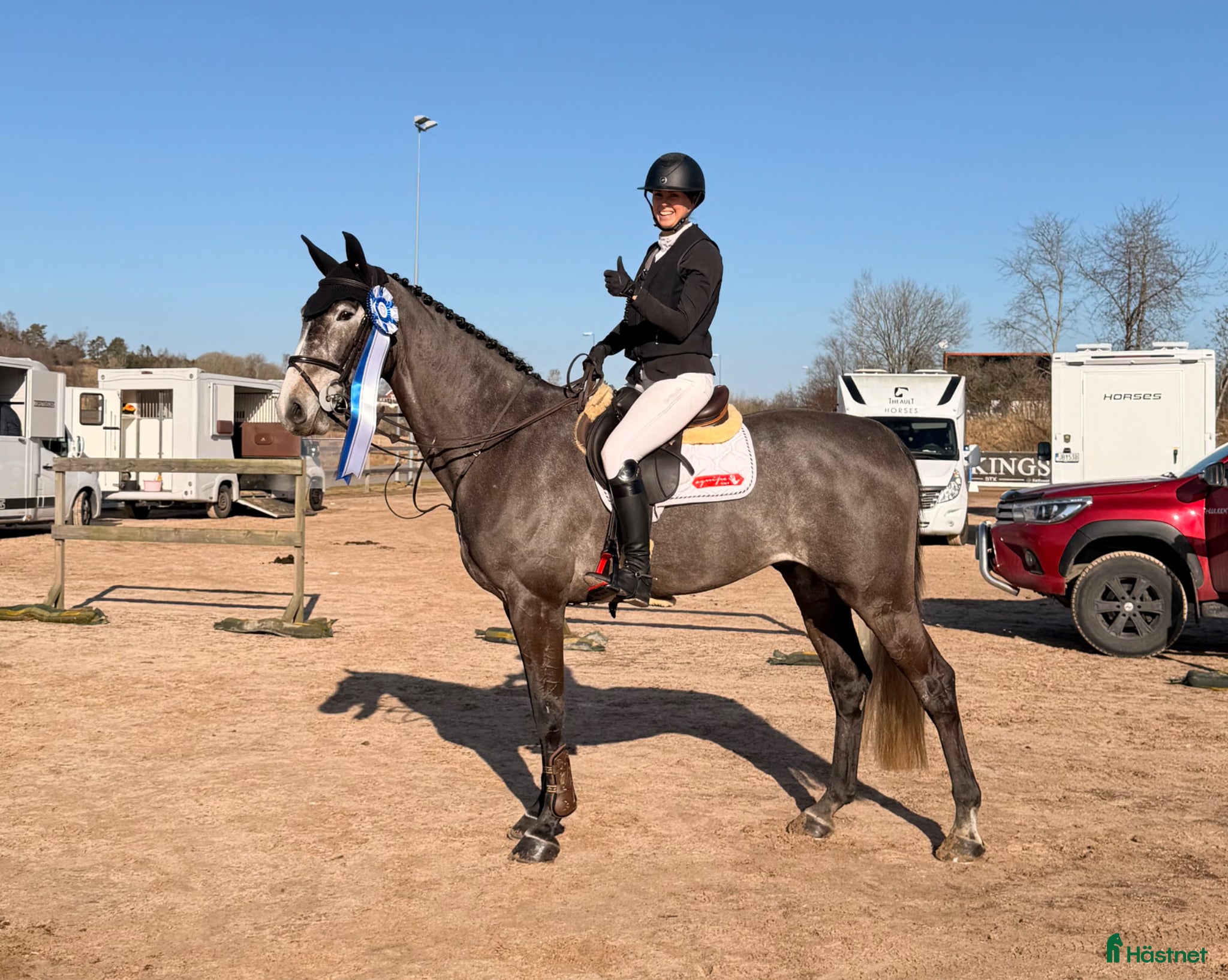  hästar En häst för framtiden ⭐️ - Annons 3