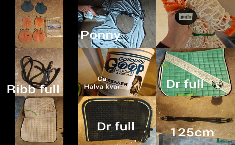 Övrig Hästutrustning hästutrustning till salu i Motala - Annons 15