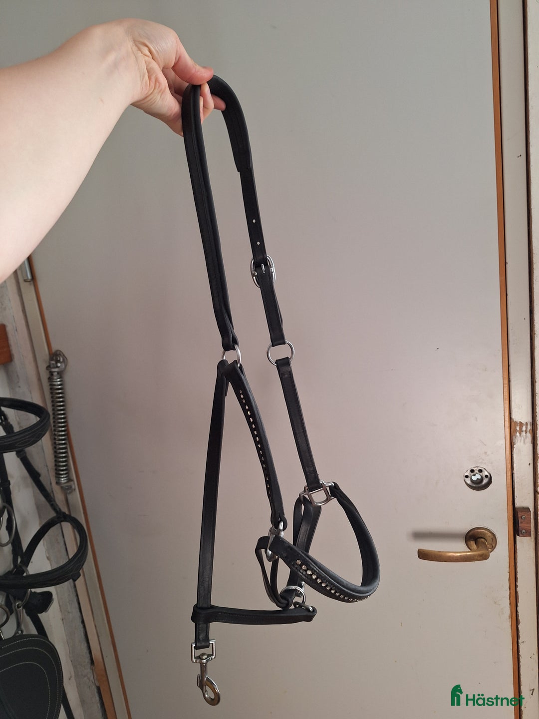 Träns hästutrustning till salu: Träns, lädergrimmor, tyglar  (cob + full) i Torslanda - Annons 4