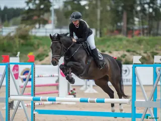 hästar Sto med kapacitet i Vimmerby - Annons 14