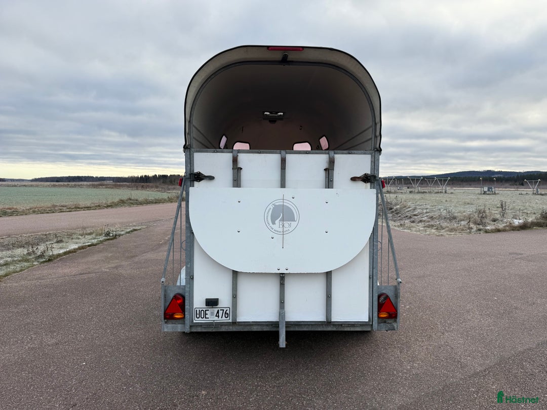 Hästtransporter  fordon & transport till salu: Boj Bravo - Dubbla kammare! i Borlänge - Annons 4
