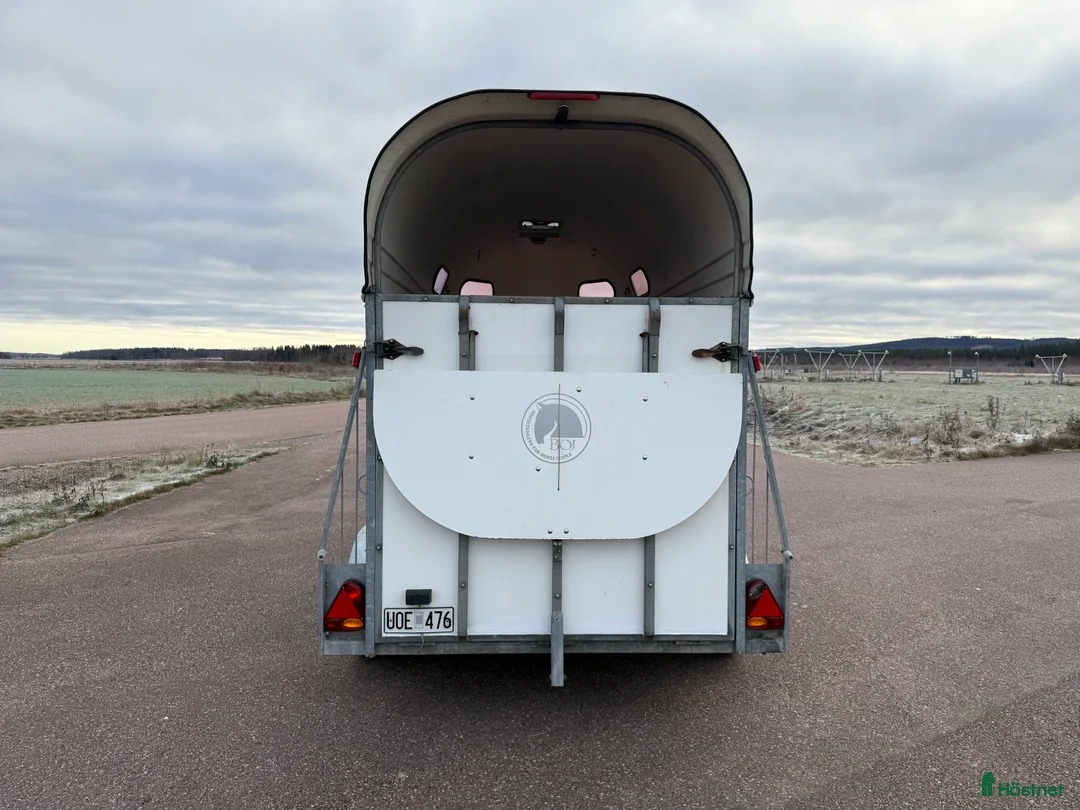 Hästtransporter  fordon & transport till salu: Boj Bravo - Dubbla kammare! i Borlänge - Annons 4