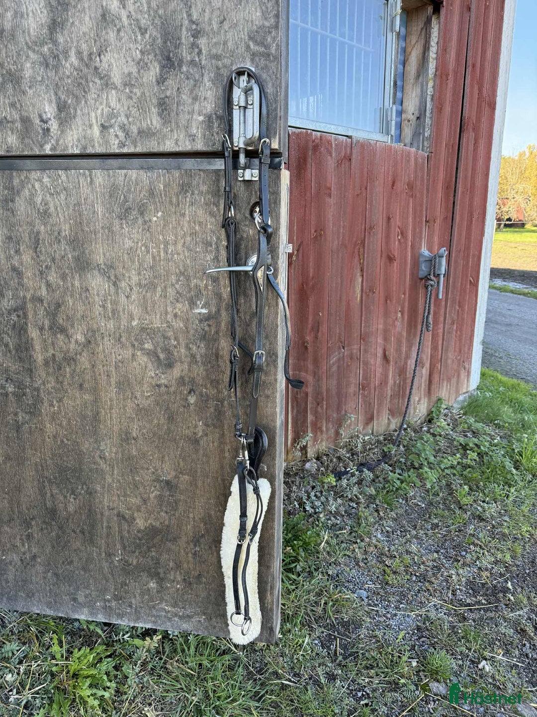 Sadeltillbehör hästutrustning till salu: Equline förbygel  i Eskilstuna - Annons 1