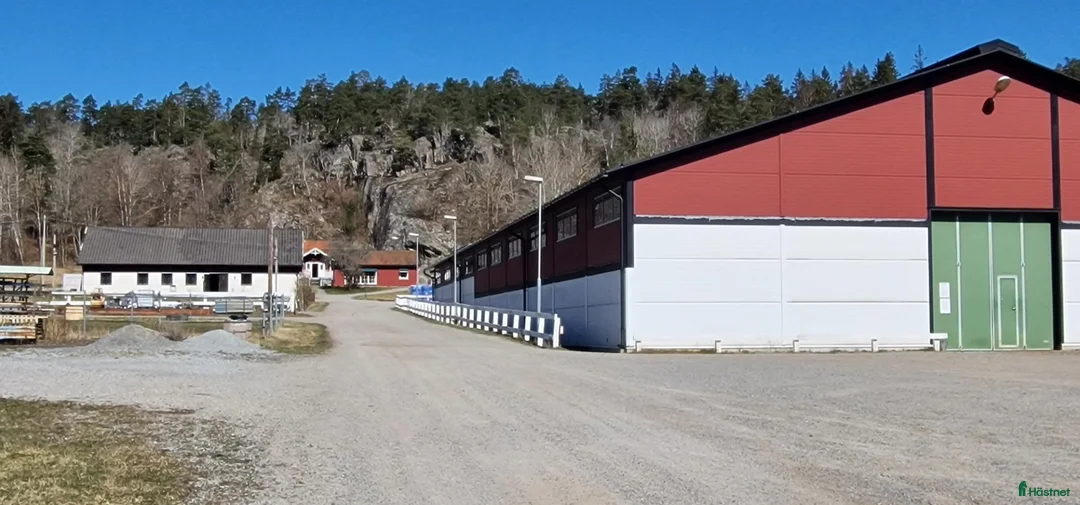  stallplats finnes: Ledig box Viksberg Södertälje  - Annons 10