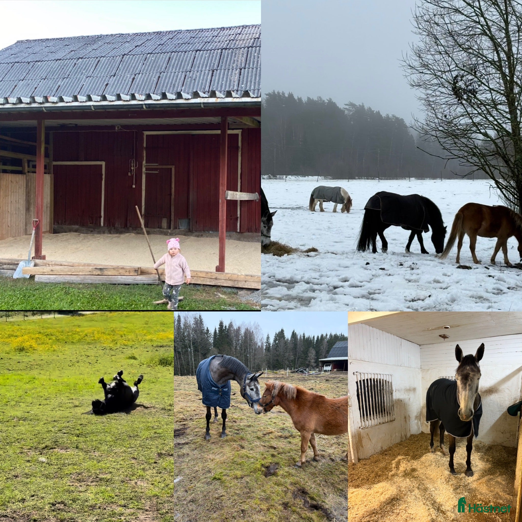  stallplats Stallplats Länghem  i Länghem - Annons 9