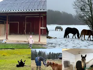 stallplats Stallplats Länghem i Länghem - Annons 9