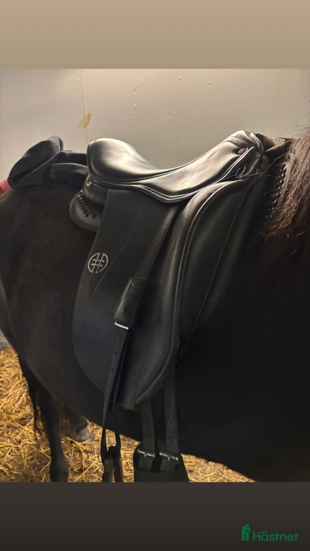 Sadlar hästutrustning till salu: Hrimnir pro  - Annons 2