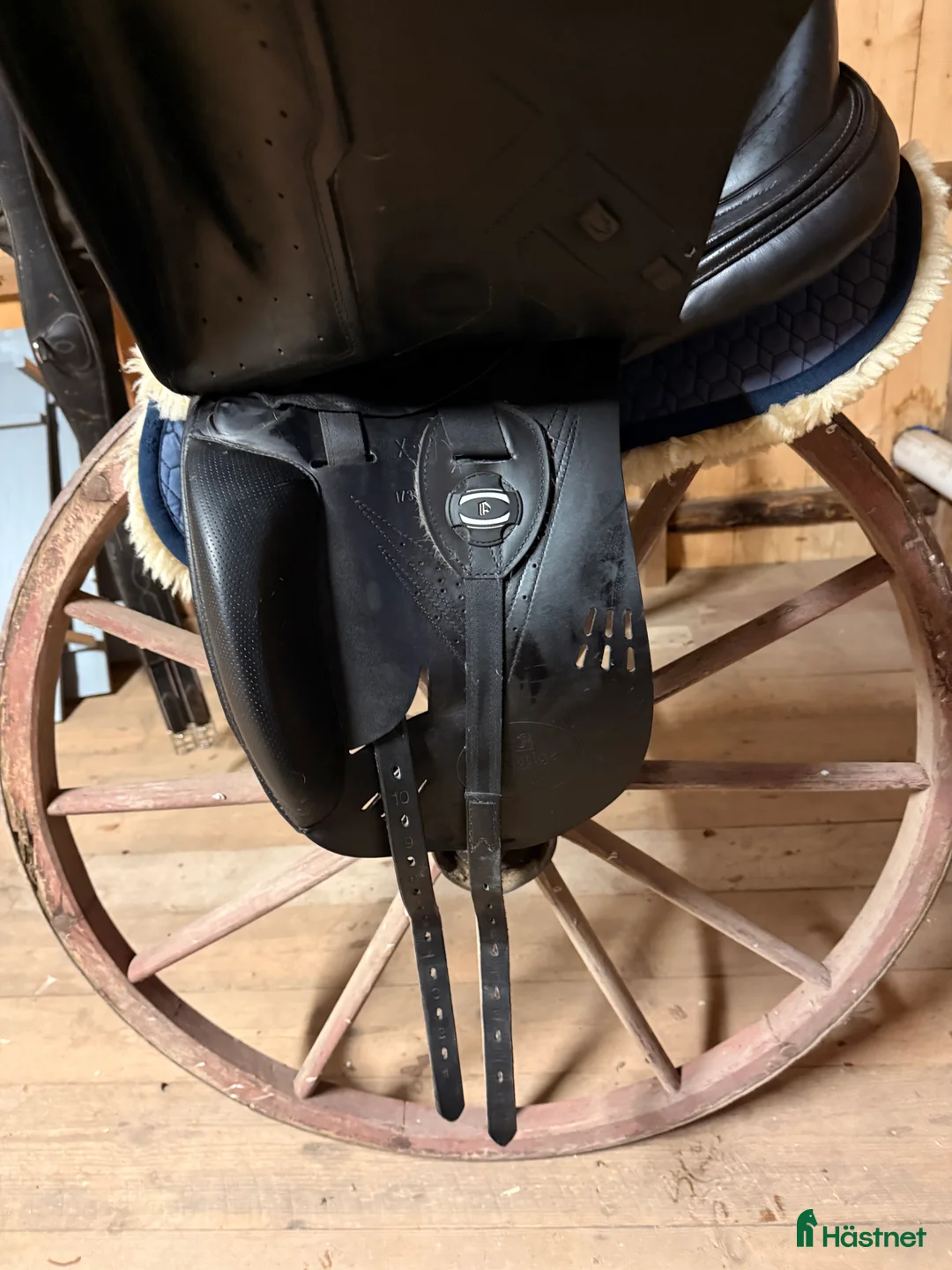 Sadlar hästutrustning till salu: Prestige x-breath i Rengsjö - Annons 4