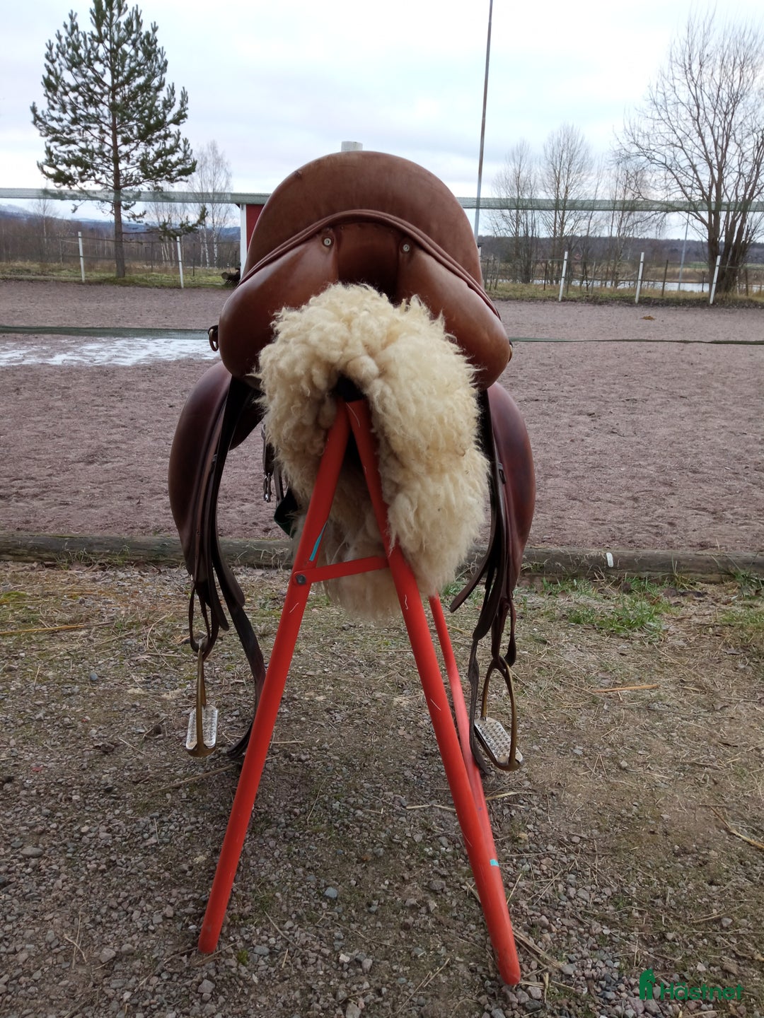 Sadlar hästutrustning till salu: Dominus dressyrsadel i Borlänge - Annons 3