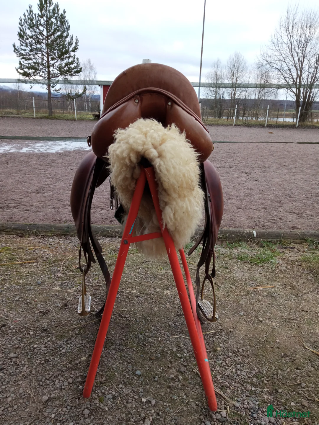 Sadlar hästutrustning till salu: Dominus dressyrsadel - Annons 3