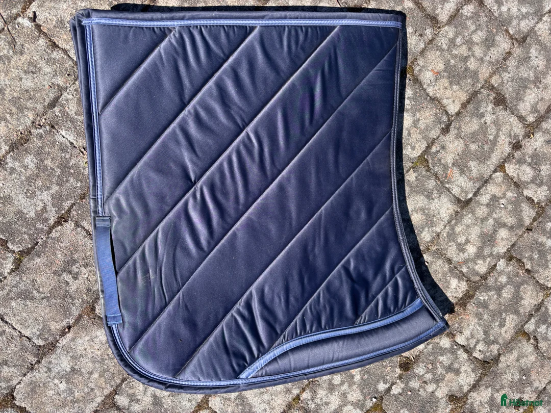 Schabrak & Vojlockar hästutrustning till salu: Snyggt ps of Sweden schabrak - Annons 2