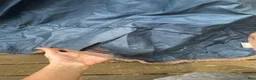 Täcken hästutrustning till salu: Horseware 145cm 100gr. - Annons 11