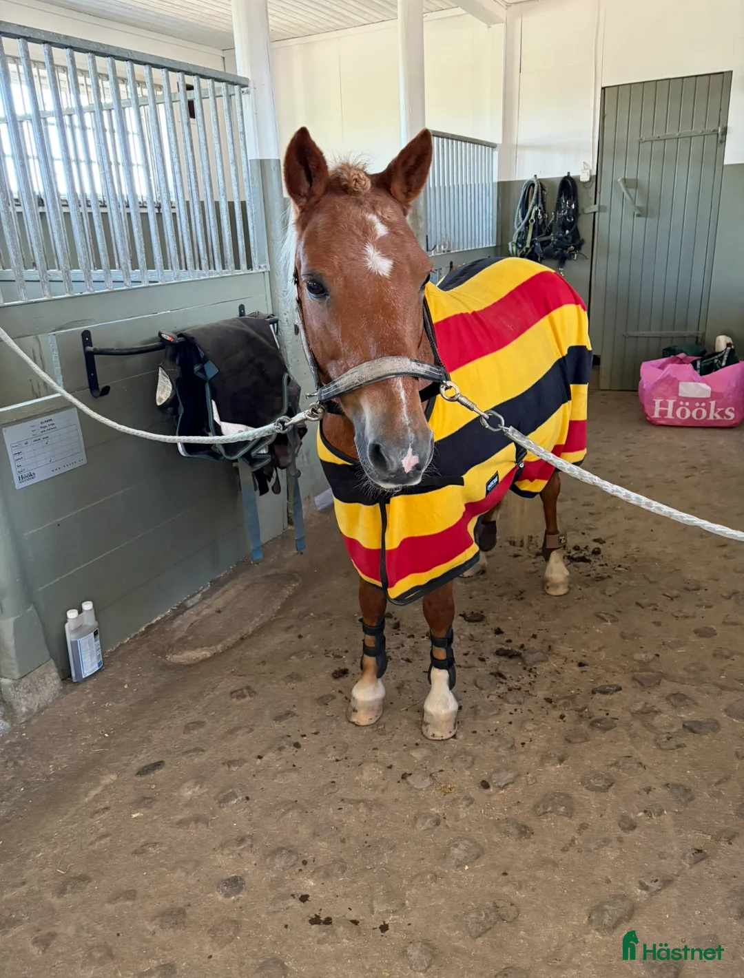  stallplats finnes: Ledig stallplats i Västra Husby/Tvärdala - Annons 2