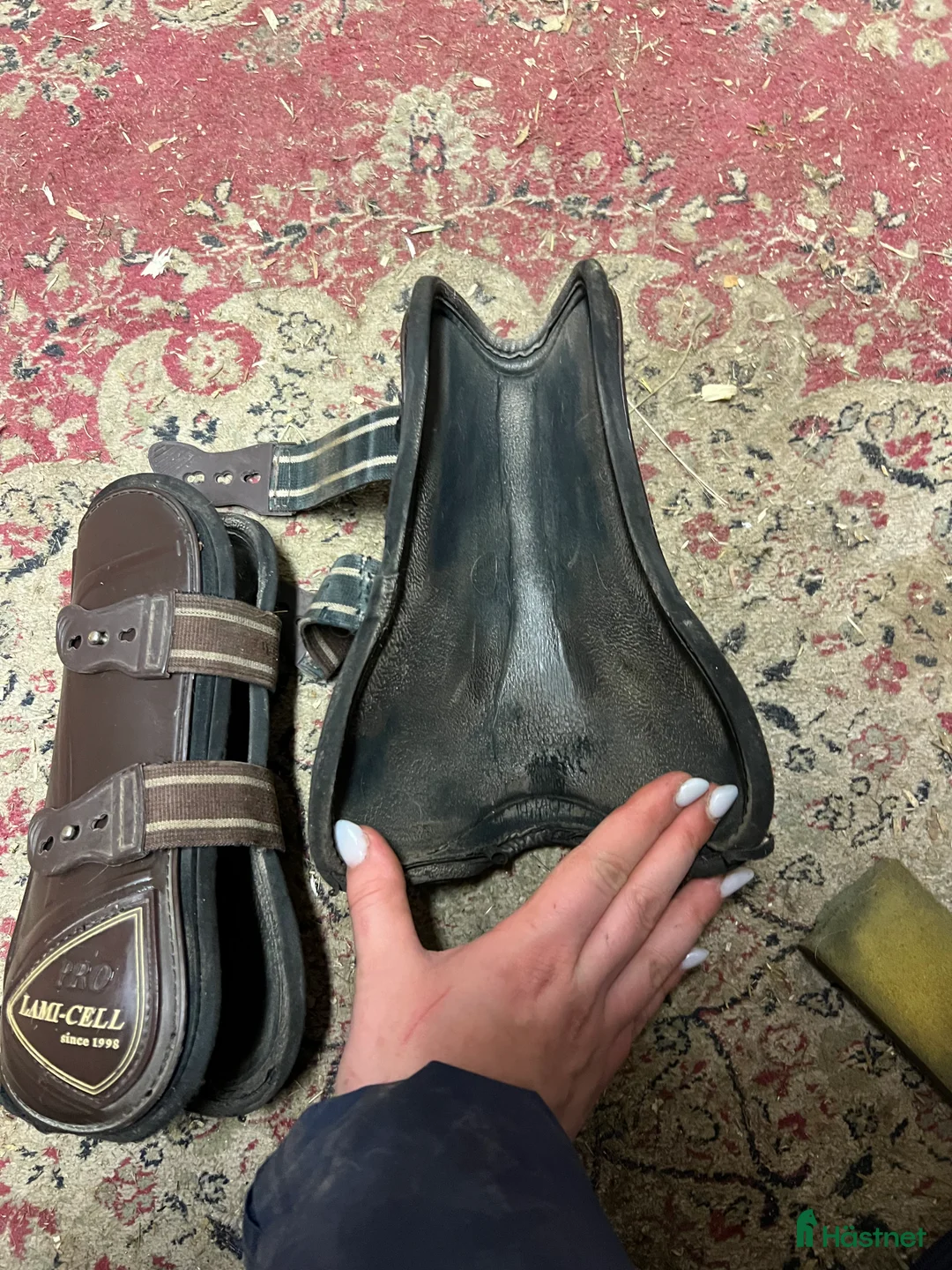 Benskydd hästutrustning till salu: Lamicell benskydd - Annons 2