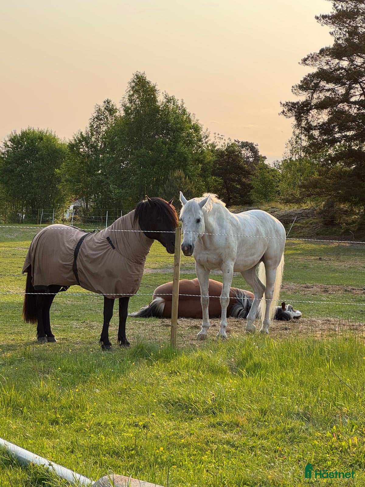  stallplats finnes: Lösdrift Grödinge i Grödinge - Annons 1
