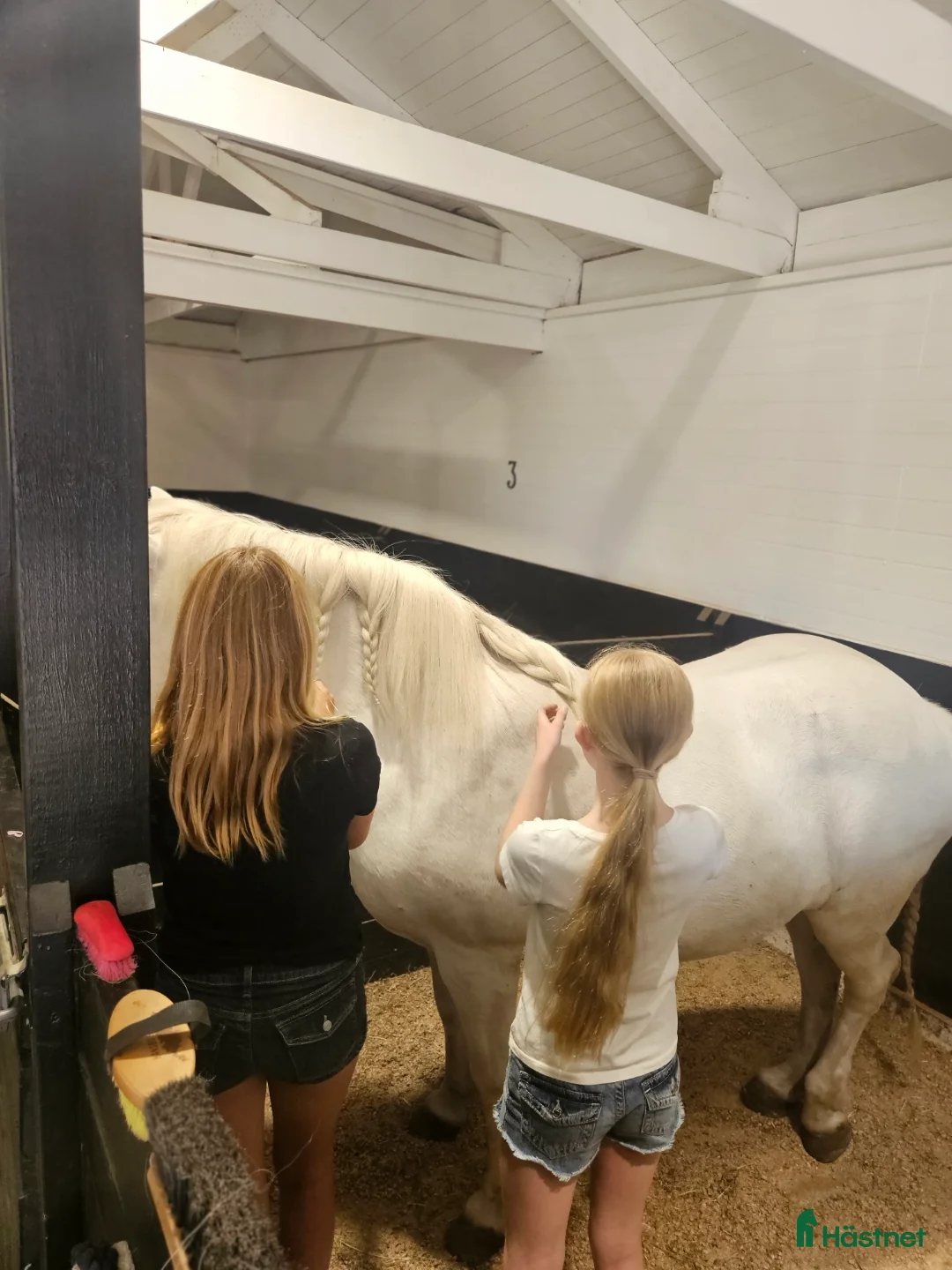 Galleribild {{count}}