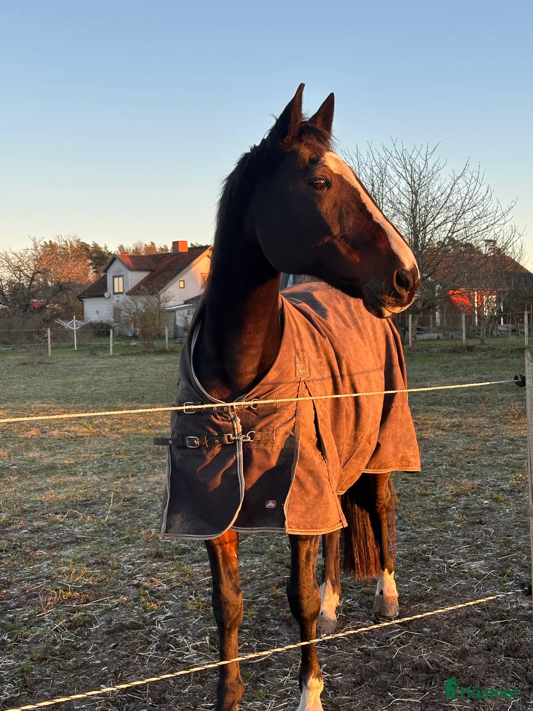 Galleribild {{count}}