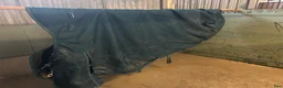 Täcken hästutrustning till salu: Två täcken 50gr - Annons 1