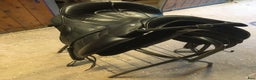 Sadlar hästutrustning till salu: Svart Sensation sadel i Olofström - Annons 2