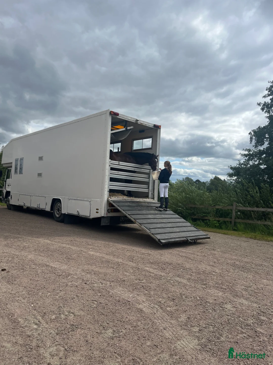 Hästlastbilar  fordon & transport till salu: 4 hästar 4 passagerare i Västra Tunhem - Annons 9