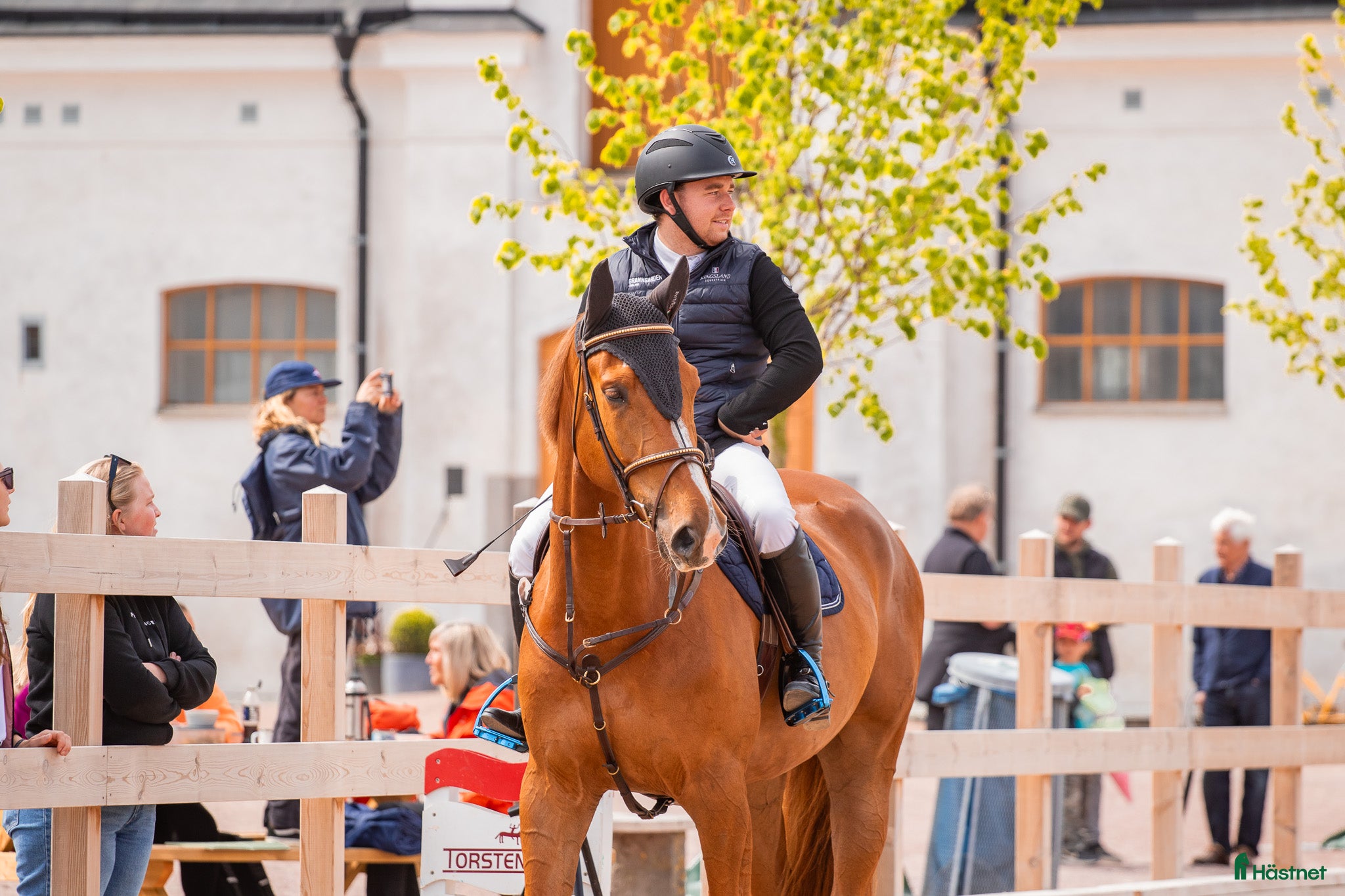  hästar Positiv häst med energi i kroppen.  - Annons 8