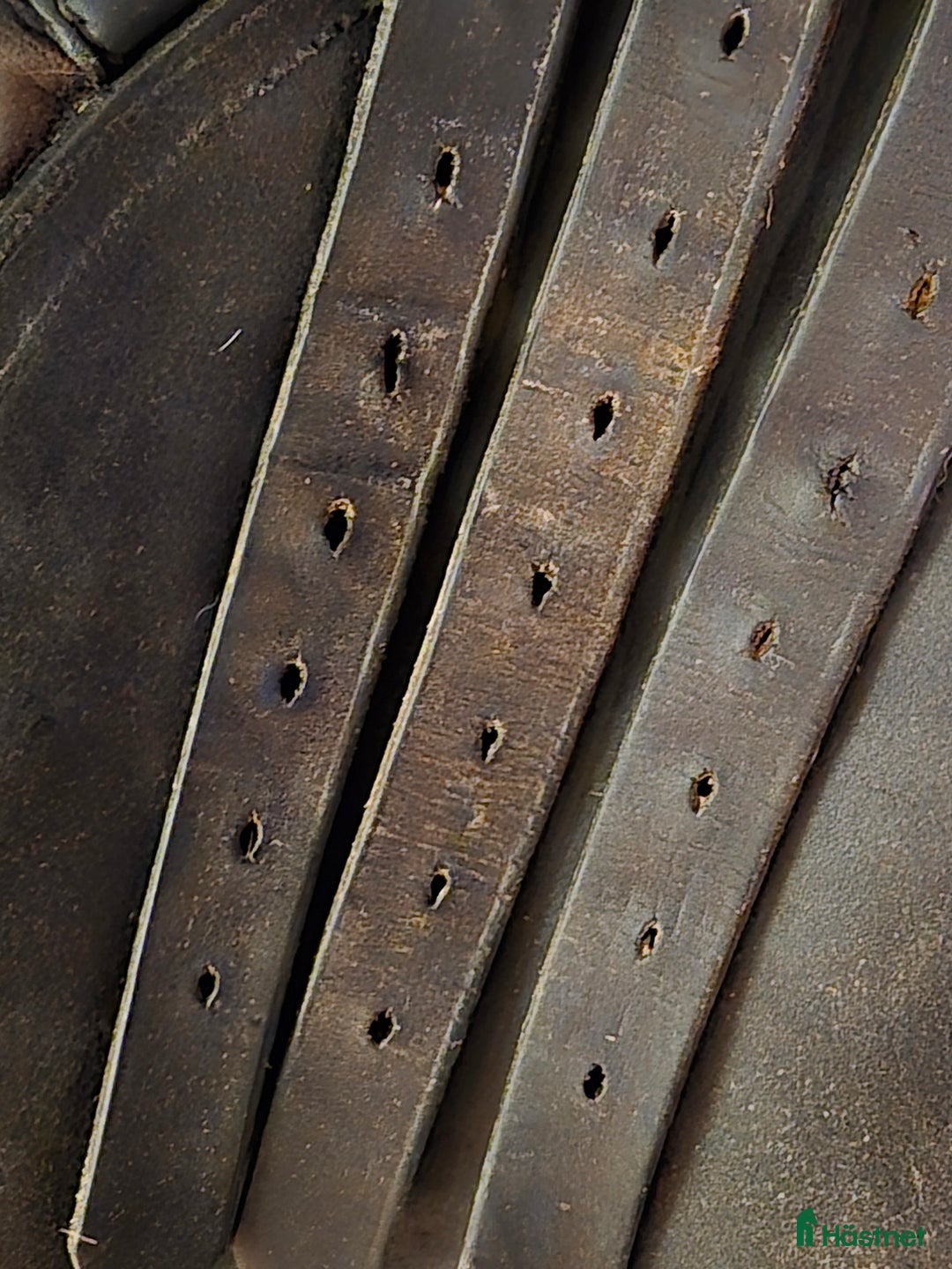 Sadlar hästutrustning till salu: Hoppsadel Passier ps baum  i Kungsör - Annons 6