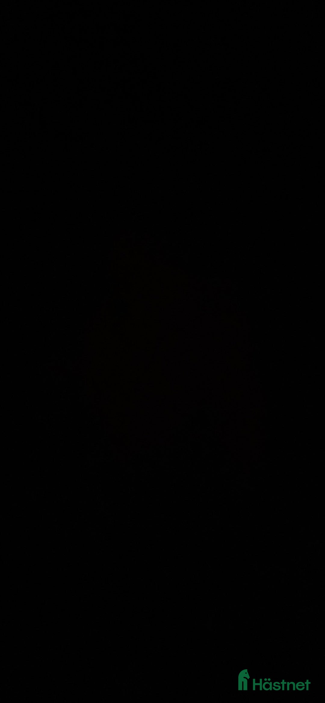  foderhäst finnes: Välstammad unghäst i Össjö - Bild 1