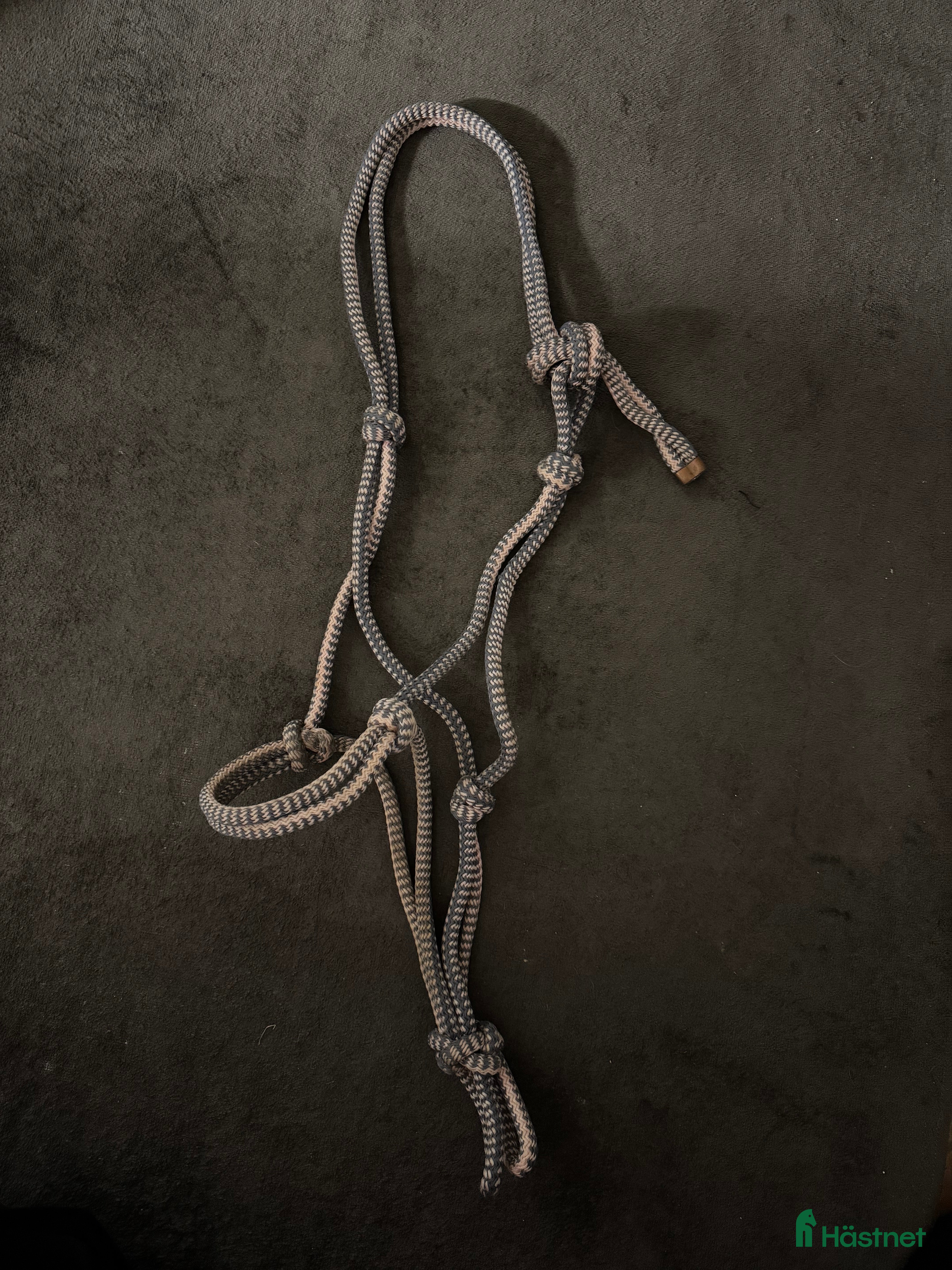 Övrig Hästutrustning hästutrustning till salu: Grimma  i Eskilstuna - Annons 3