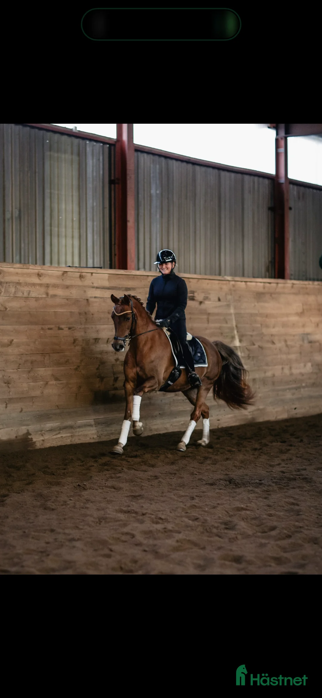 Dressyr hästar till salu: Fantastisk läromästare i Vätö - Annons 2