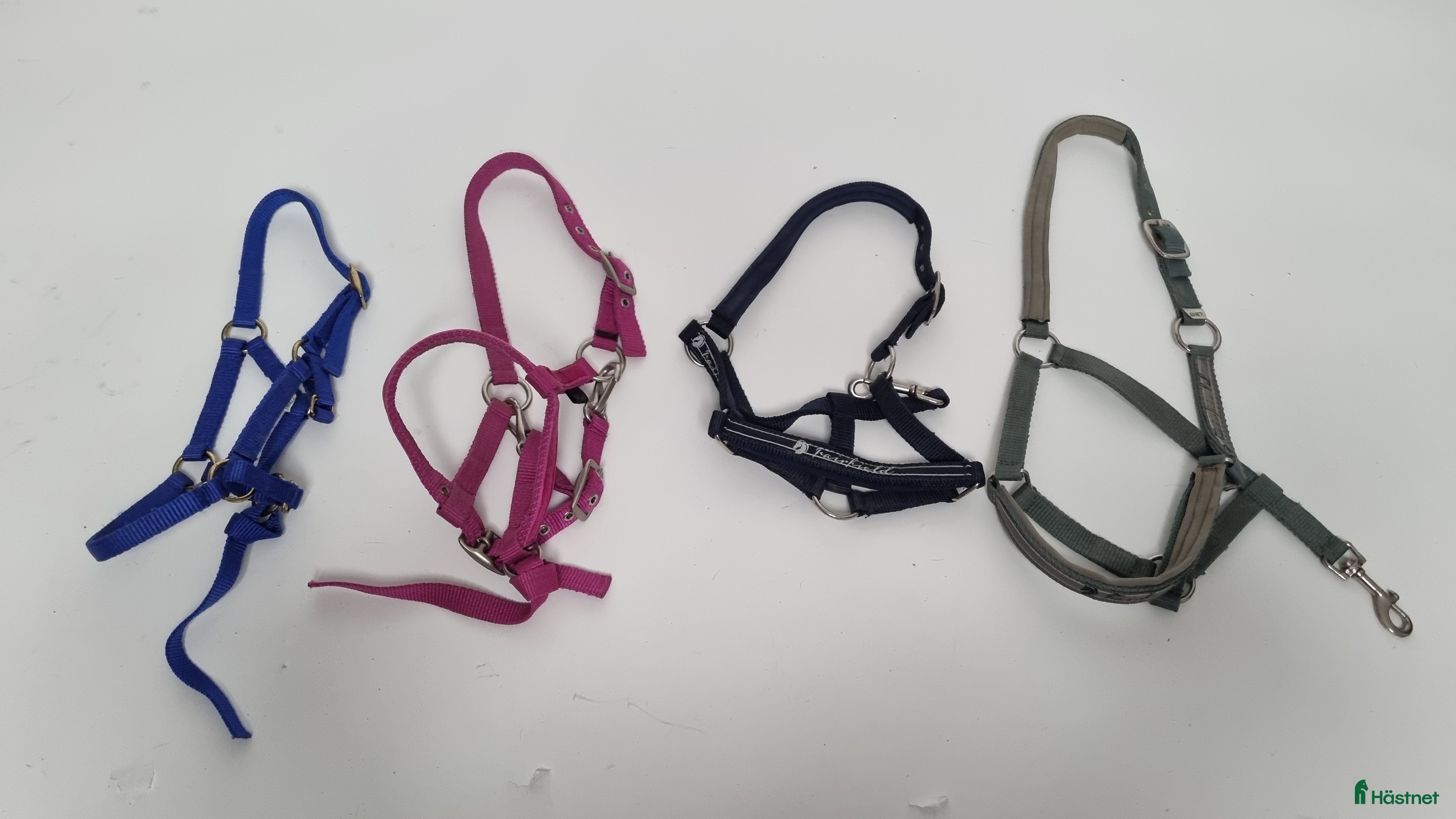 Övrig Hästutrustning hästutrustning till salu: Små grimmor i Färentuna - Annons 21