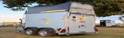 Hästtransporter  fordon & transport till salu: Cheval Liberté - HORSEPARTNER - Annons 2