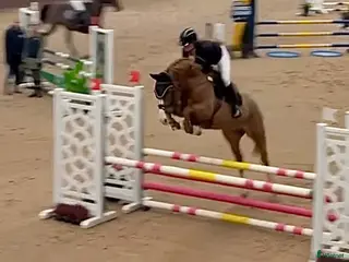 hästar En guldtjej - Annons 1