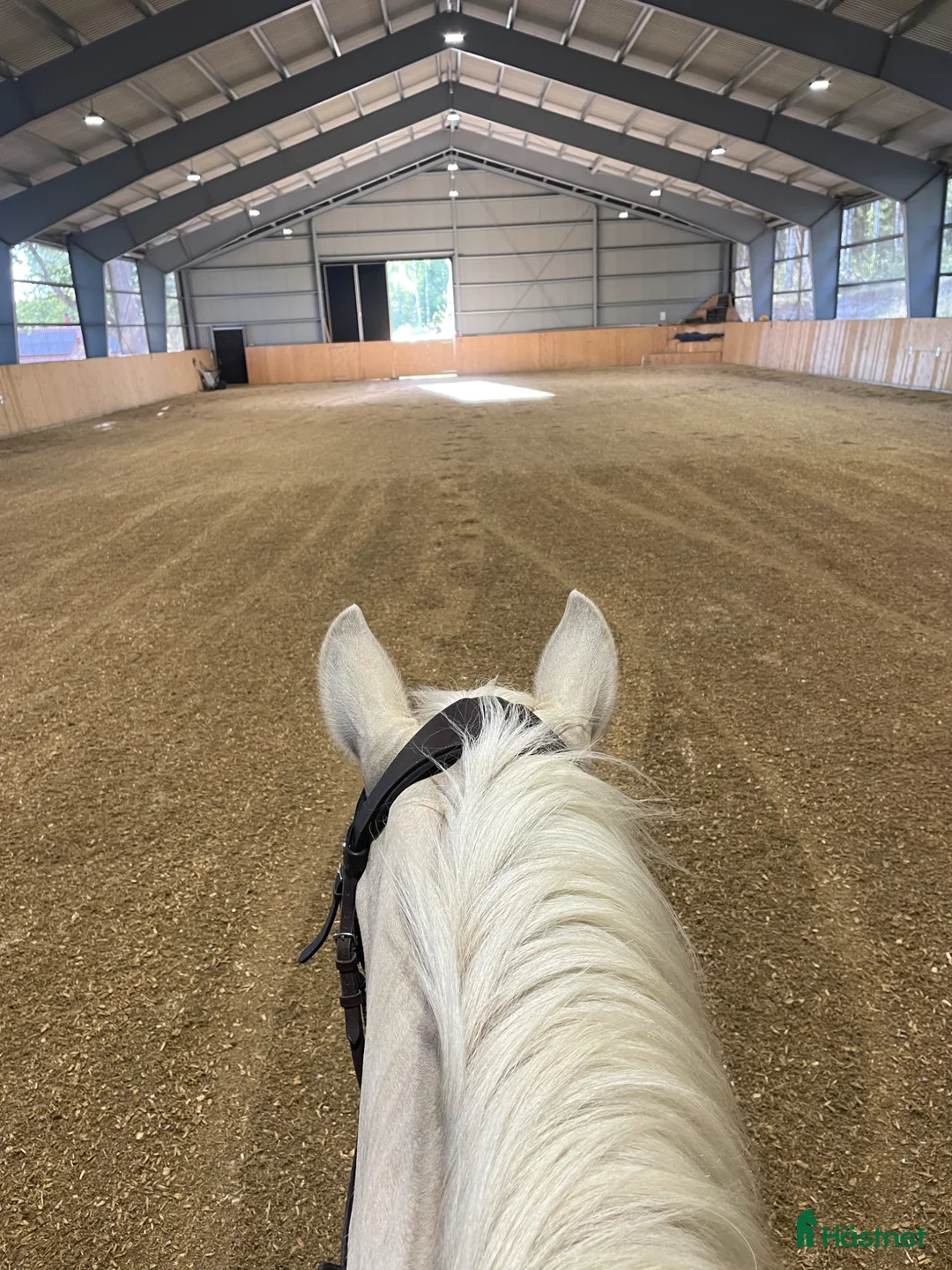  stallplats finnes: Lösdrift för valack, egen box. Ridhus. i Nykvarn - Annons 7