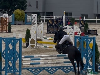 hästar ⭐️ Ultimate 128 Schoolmaster⭐️ i Stockholm - Annons 3