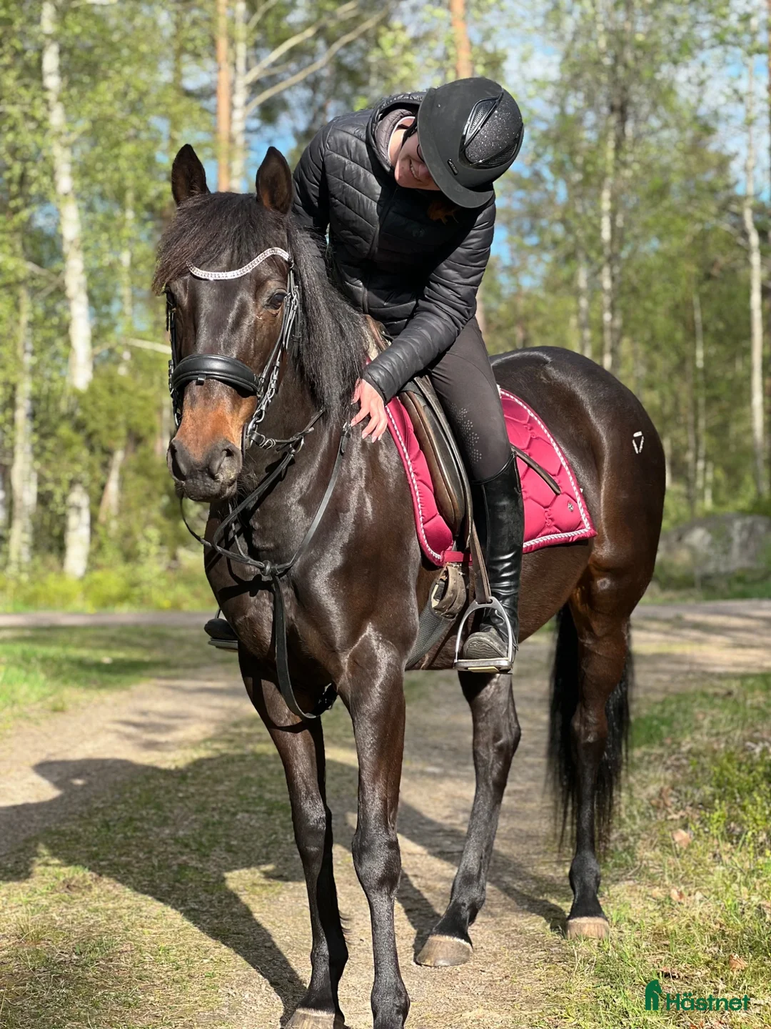 Allround hästar sökes: Ny bästavän SÖKES  - Annons 1