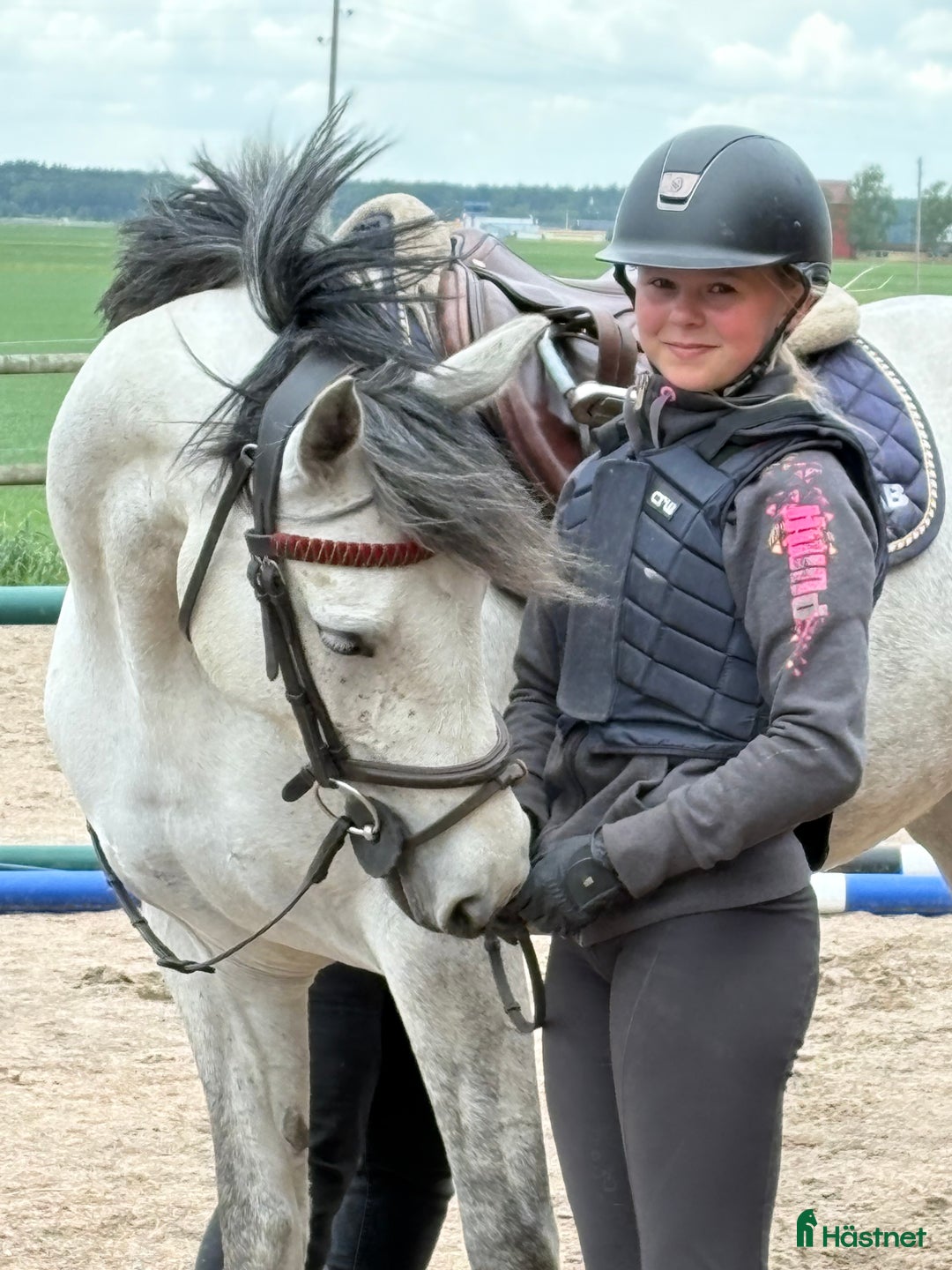 Hoppning hästar till salu: Kapabel D-ponny, kan ses på Grevagården v42! i Trollhättan - Annons 5