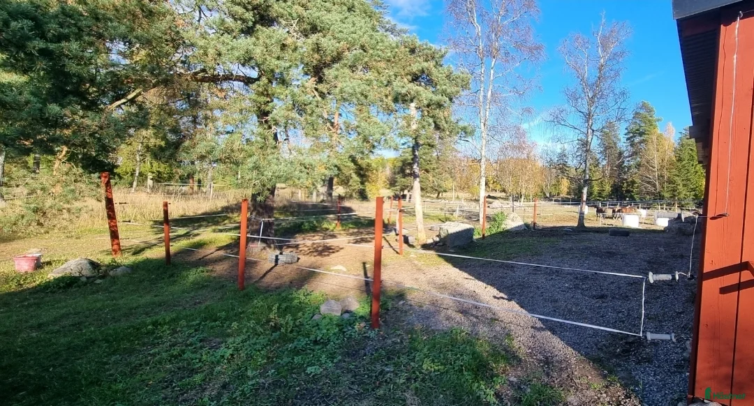  stallplats finnes: Lösdrift för grabbar - Annons 8