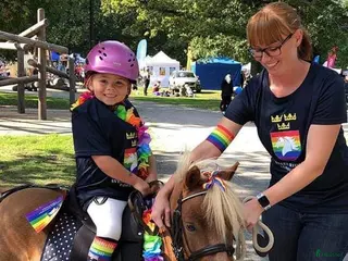 hästar SE HIT! i Väse - Annons 11