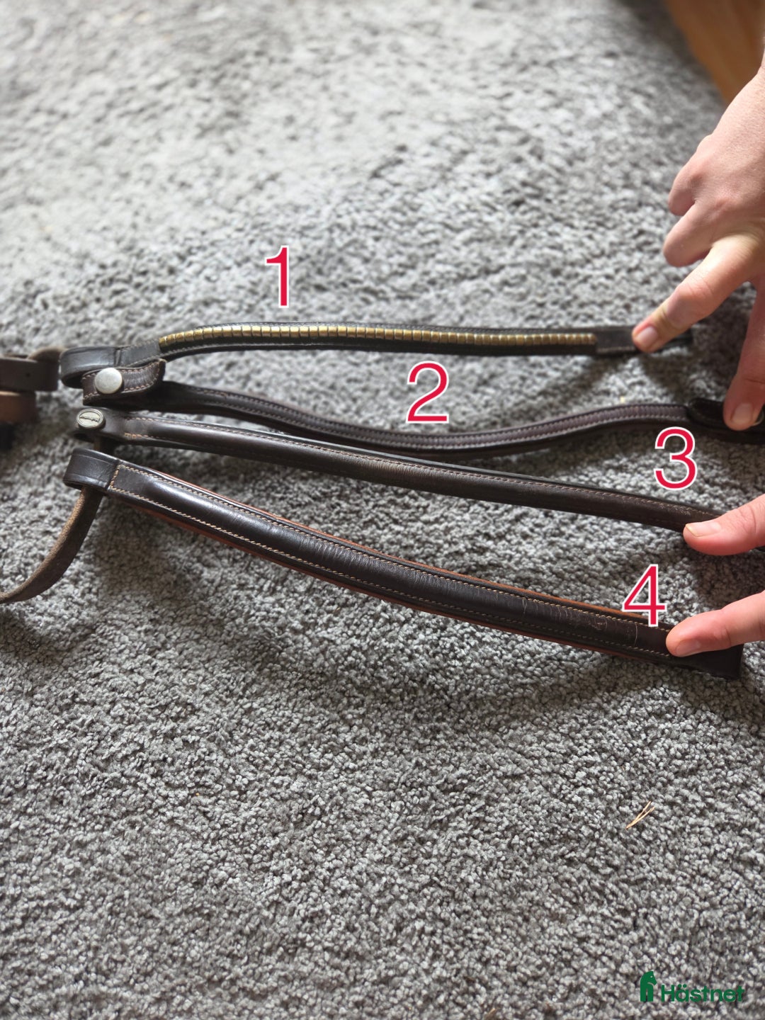 Övrig Hästutrustning hästutrustning till salu: Blandat med hästsaker säljes i Ösmo - Annons 3