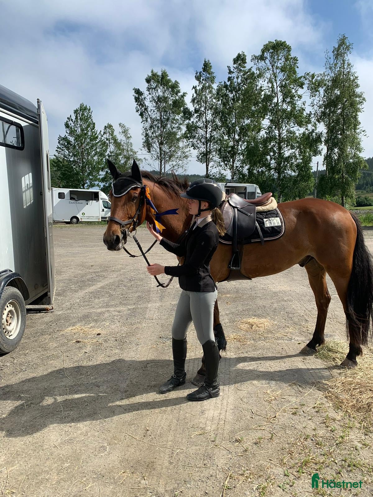  hästar Tävlingsponny i Arnäsvall - Annons 14