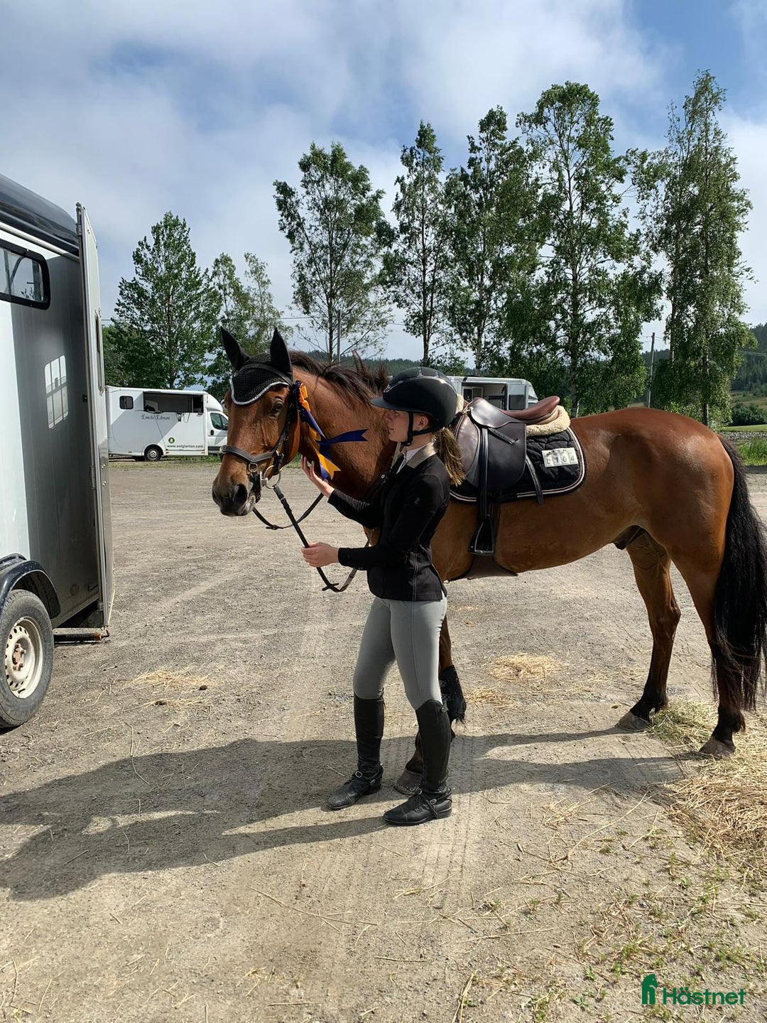 Hoppning hästar till salu: Tävlingsponny i Arnäsvall - Annons 1
