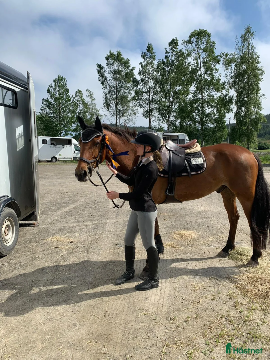 Hoppning hästar till salu: Tävlingsponny i Arnäsvall - Annons 1