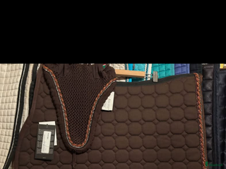 Schabrak & Vojlockar hästutrustning till salu: NYTT !! Equiline set schabrak o luva i Vingåker - Annons 10