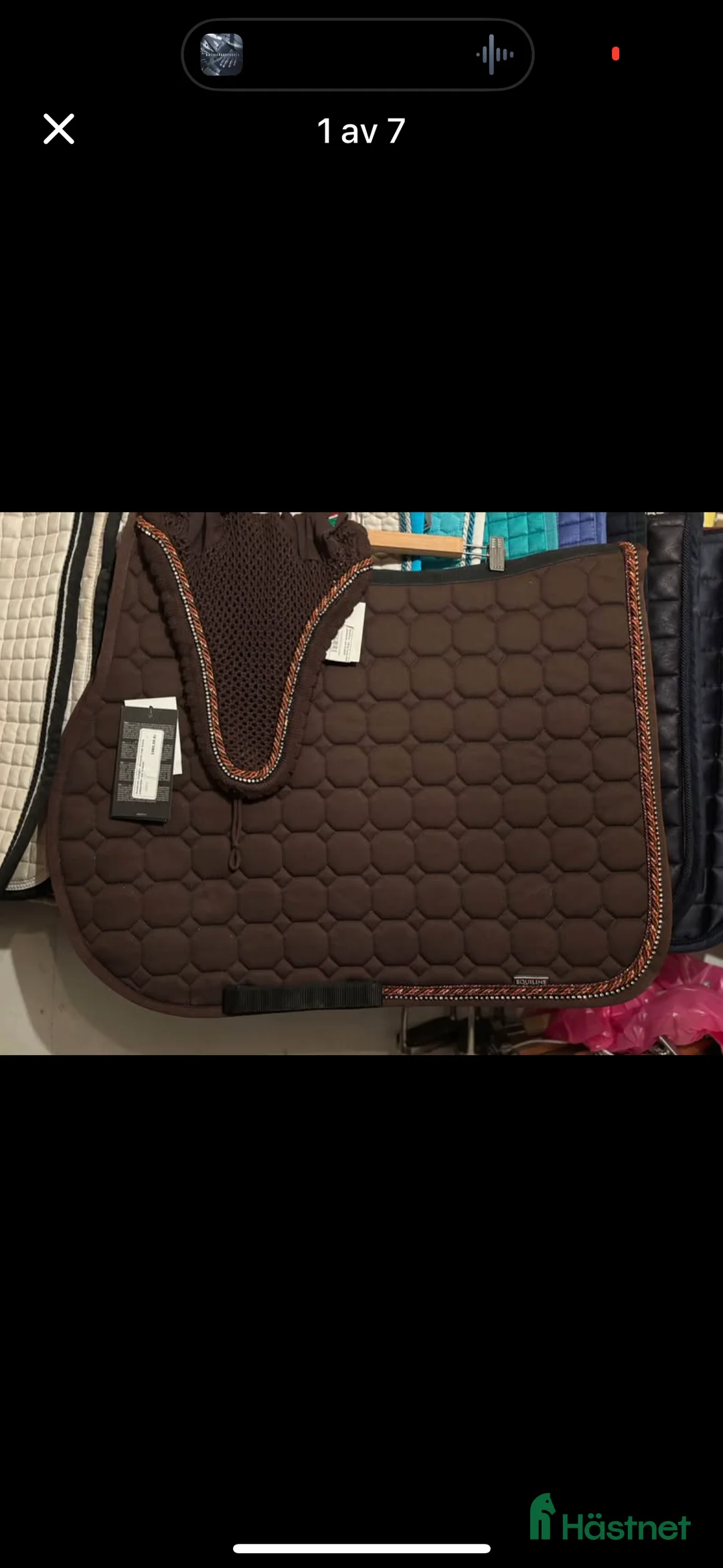 Schabrak & Vojlockar hästutrustning till salu: NYTT !! Equiline set schabrak o luva i Vingåker - Annons 1