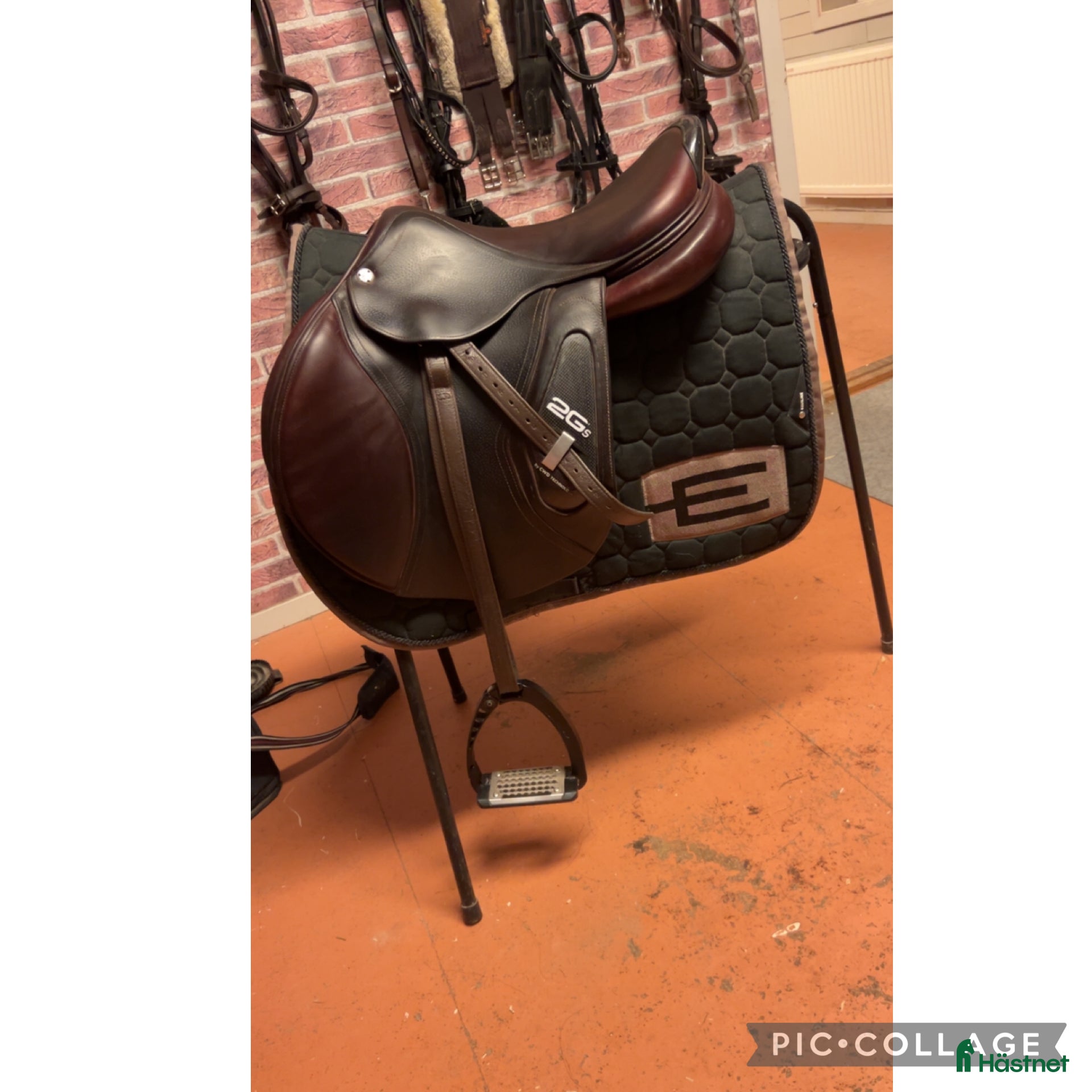 Sadlar hästutrustning CWD 2GS sadel - Annons 6