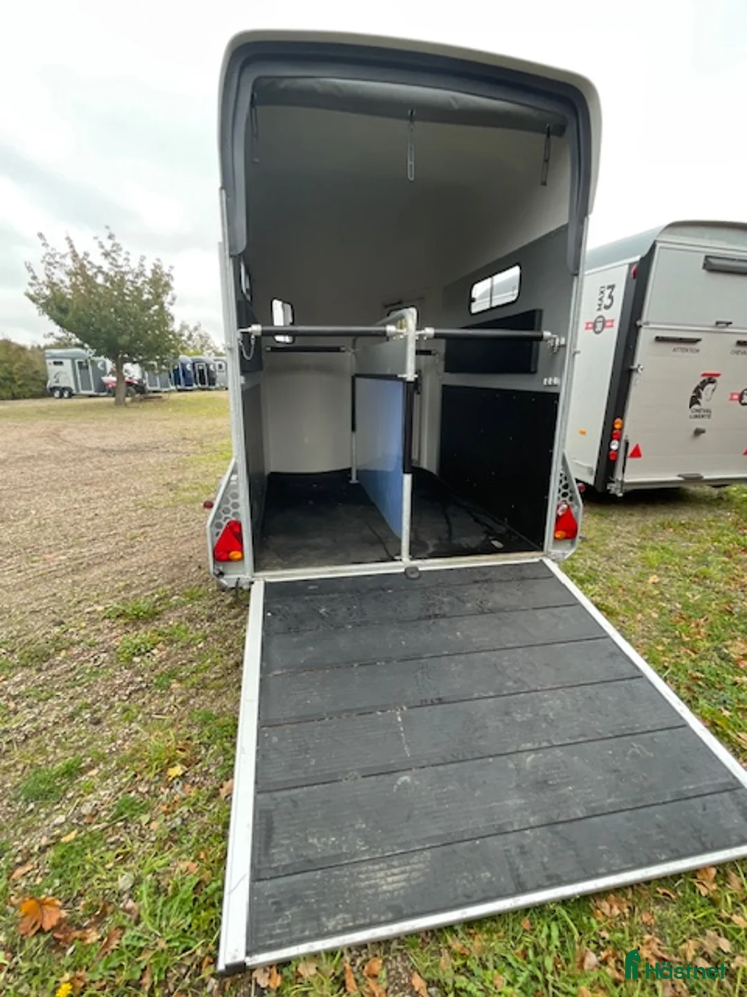 Hästtransporter  fordon & transport till salu: Gold 3 i nyskick - Annons 5