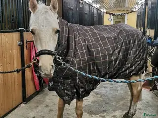 Täcken hästutrustning till salu: Vintertäcke med hals, 125 cm i Hägersten - Annons 1