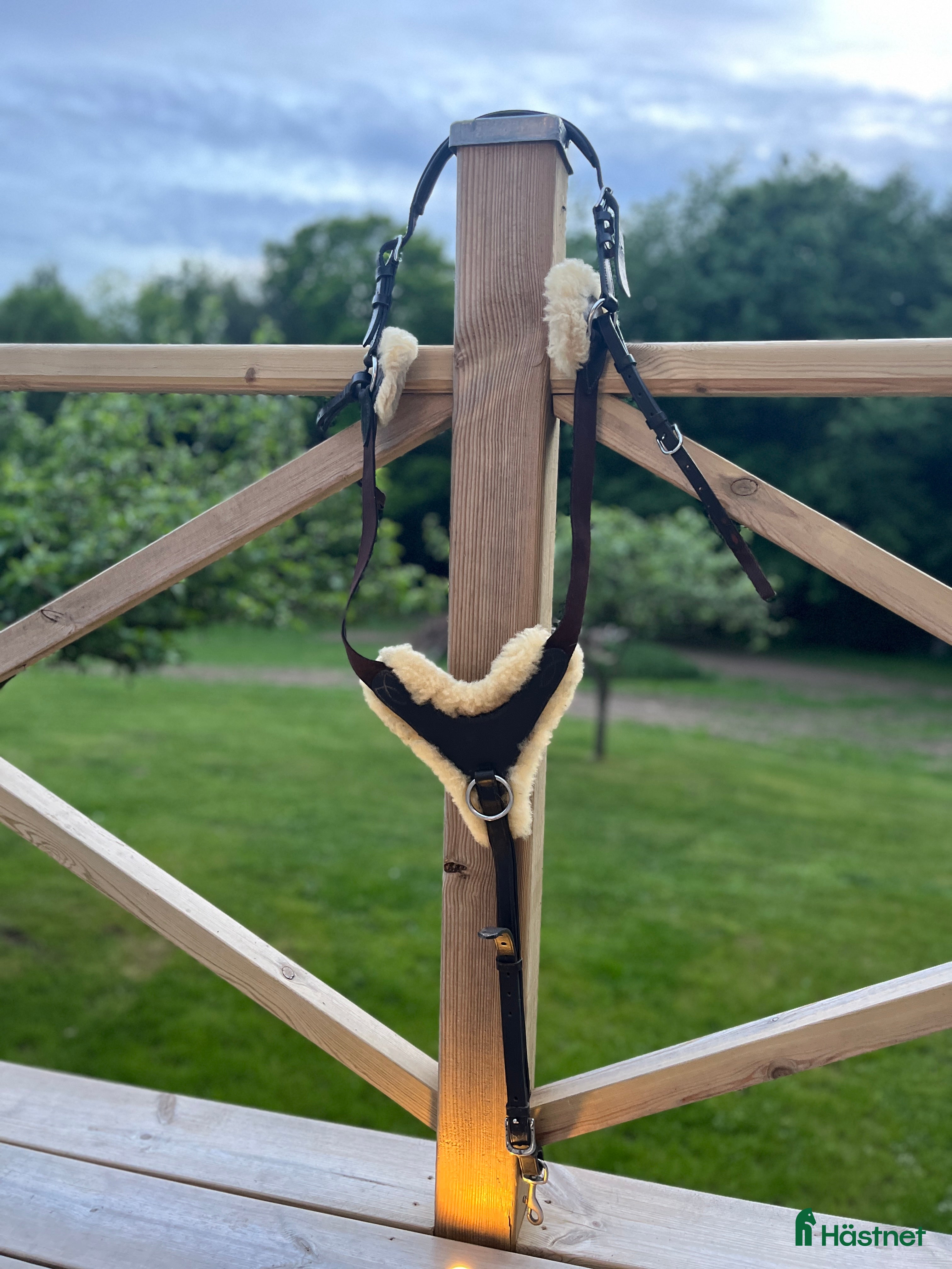 Övrig Hästutrustning hästutrustning till salu: Brösta/förbygel stl ponny i Skurup - Annons 9