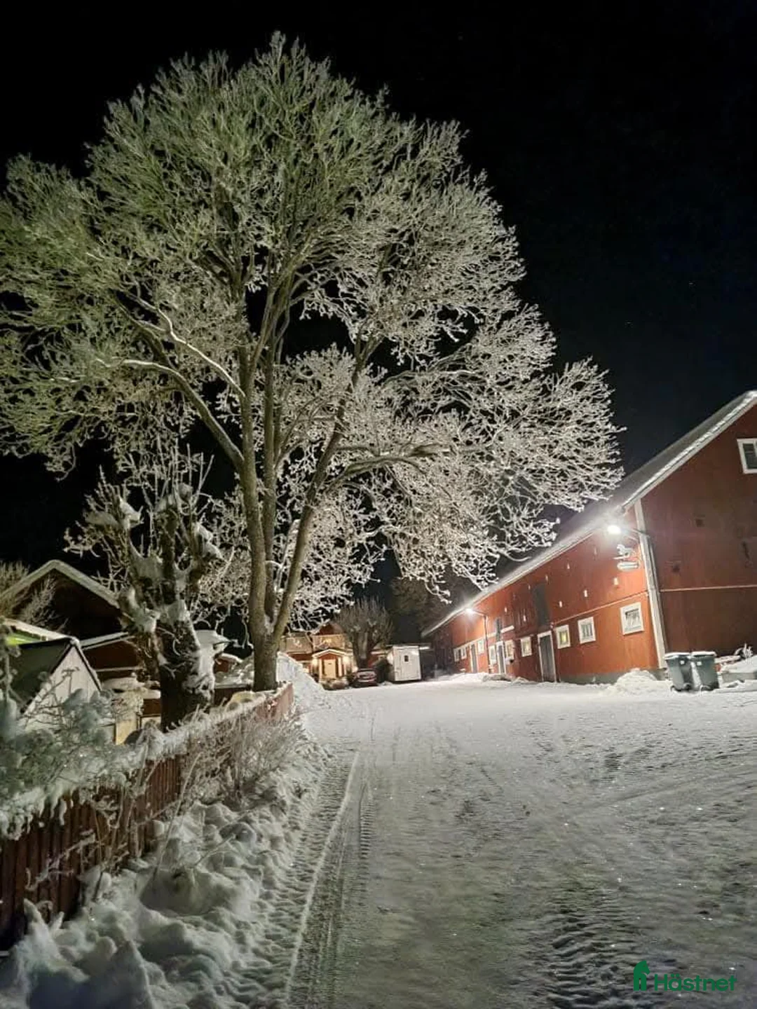  stallplats finnes: Stallplats för islandshäst Rö/Rimbo! i Rö - Annons 3